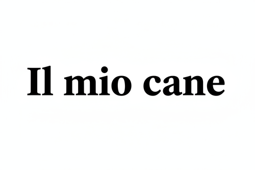 Il mio cane